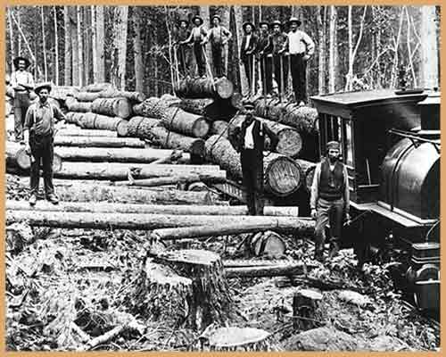 تاریخچه چوب
